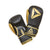 Reebok Retail Boxing Gloves 16 oz sort & guld