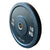 TITAN LIFE PRO Bumper Plate Rubber 10 Kg.