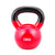 Trendy Sport Kettlebell i vinyl