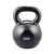 Trendy Sport Kettlebell i vinyl